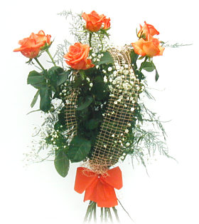 Sedem oran�ov�ch ru��