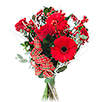 Red Winter Bouquet