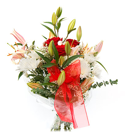 Kytica s �aliami stargazer