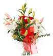 Kytica s �aliami stargazer
