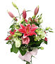 �alie a lisianthus