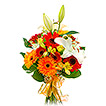Farebn� kytica s��aliami