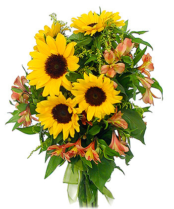 Sunflowers & Alstroemerias