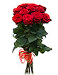 �erven� ru�e �Pure Great�