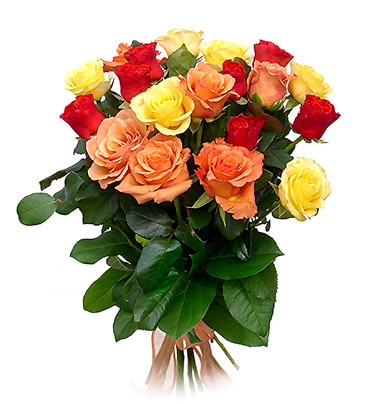 Fifteen Colorful Roses