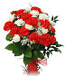 Carnations for Mom