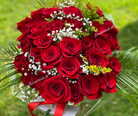 Thirty - Forty Roses