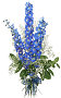 Three Delphiniums