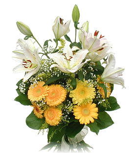 Lilies & Gerberas