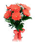 Seven Red Gerberas