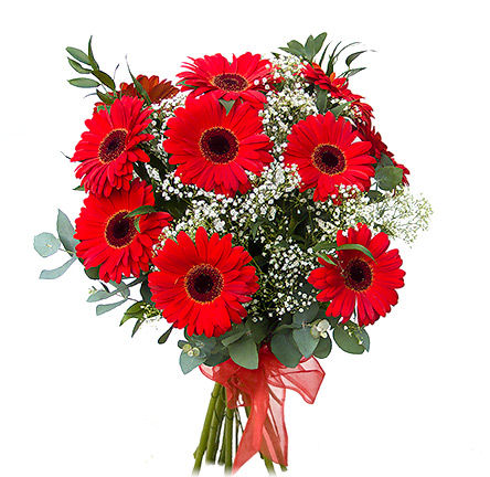 Grand Red Gerberas