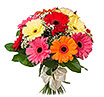 Colorful Gerberas