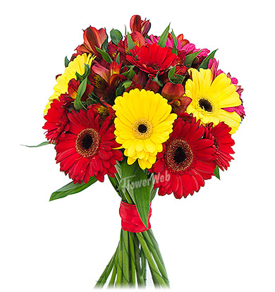 Colorful Gerberas & Alstroemerias