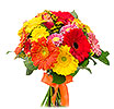 Colorful Gerberas and Roses