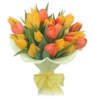 Farebné tulipány