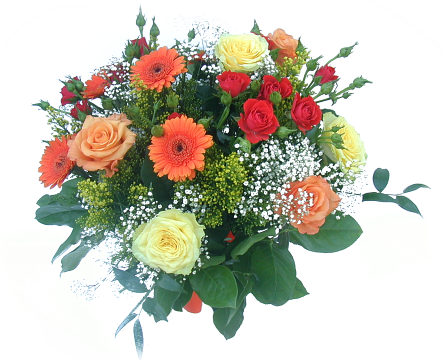 Premium Roses & Gerberas