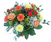 Premium Roses & Gerberas