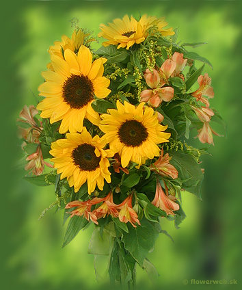 illustration - bouquet with sunflowers, that you can order on our site flowerweb.sk