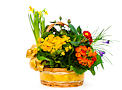 Bloom Basket