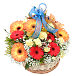 Basket of Gerberas