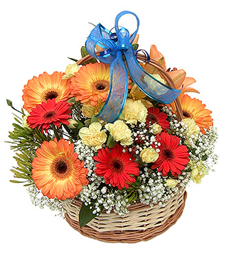 Basket of Gerberas