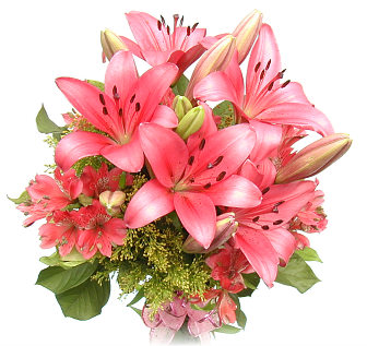 Lilies and Alstroemerias