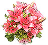 Lilies and Alstroemerias