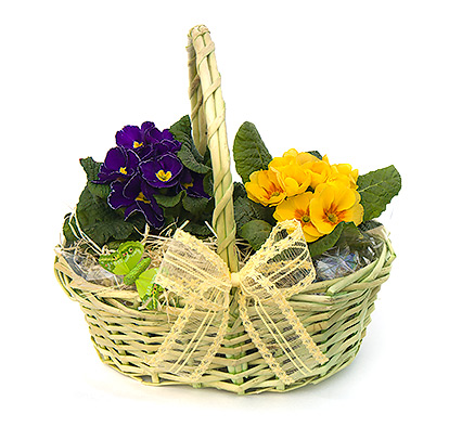 Small flower basket