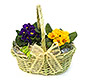 Small flower basket