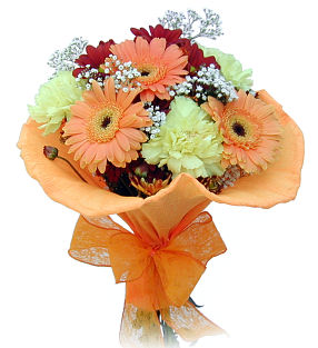 Gerberas and Carnations