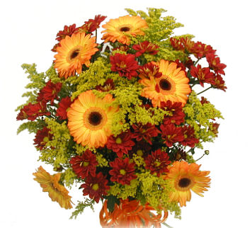 Premium Gerberas & Chrysanthemums