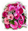 Pink roses and gerberas