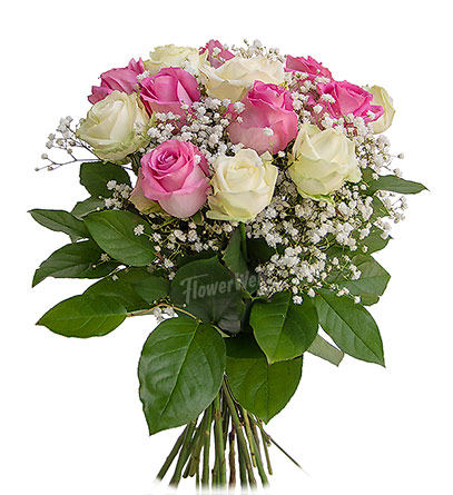 Pink and white roses