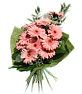 Pink gerberas