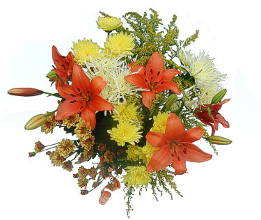 Lilies & Chrysanthemums