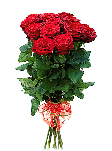 Simple Great Dozen Roses