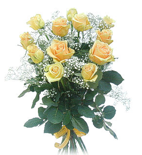 Dozen Yellow Roses