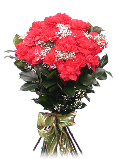 Carnations Bouquet