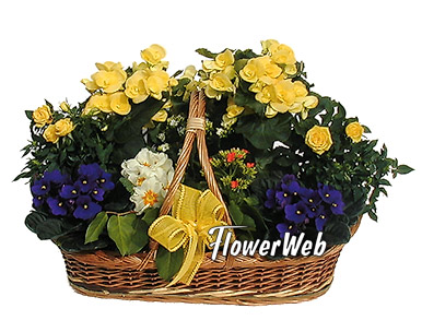 Grand Garden Basket