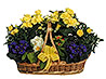 Grand Garden Basket