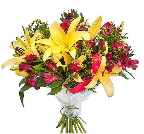 Grand Colour Lilies & Alstroemerias