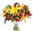 Grand Colour Lilies & Alstroemerias