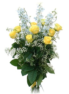Yellow Roses & Delphinium