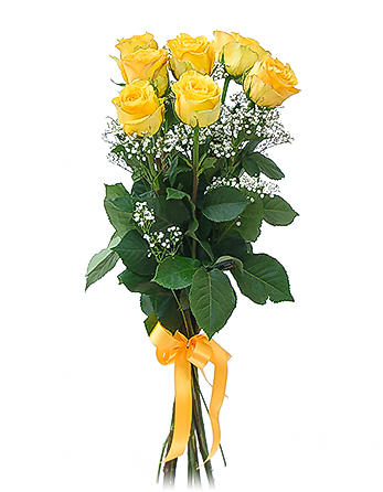 Yellow Roses